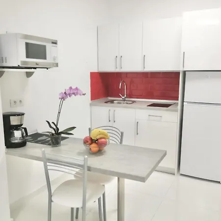Apartament Modern Loft With Terrace In Pedestrian Street Next To Las Canteras *